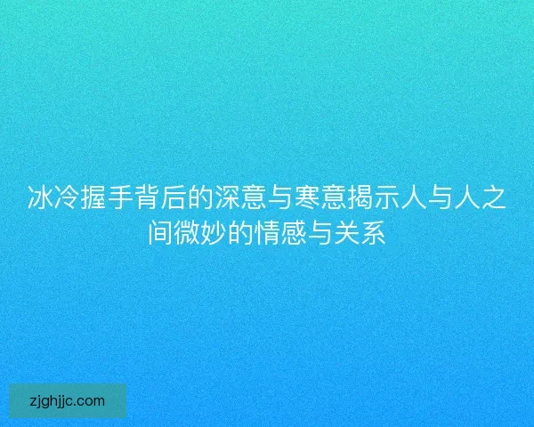 冰冷握手背后的深意与寒意揭示人与人之间微妙的情感与关系