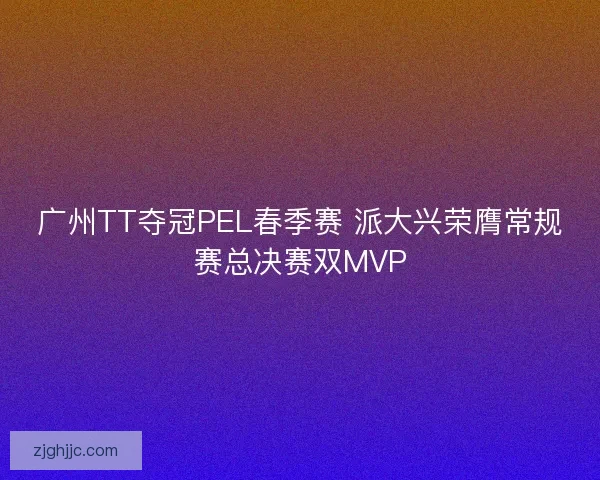 广州TT夺冠PEL春季赛 派大兴荣膺常规赛总决赛双MVP