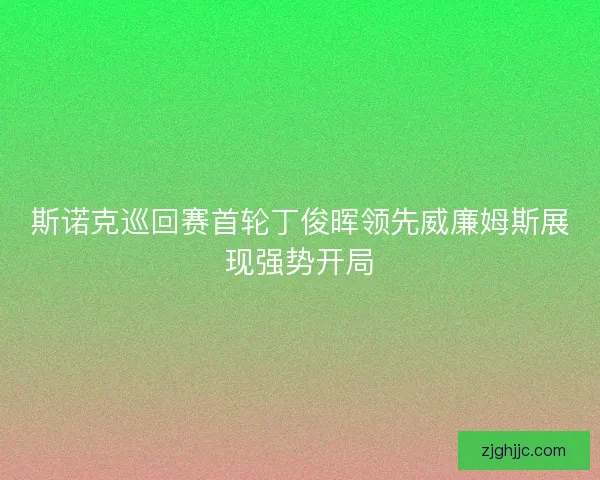 斯诺克巡回赛首轮丁俊晖领先威廉姆斯展现强势开局 斯诺克巡回赛首轮丁俊晖领先威廉姆斯展现强势开局