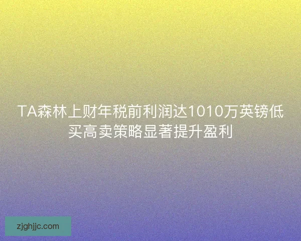 TA森林上财年税前利润达1010万英镑低买高卖策略显著提升盈利